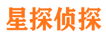 清新市侦探公司